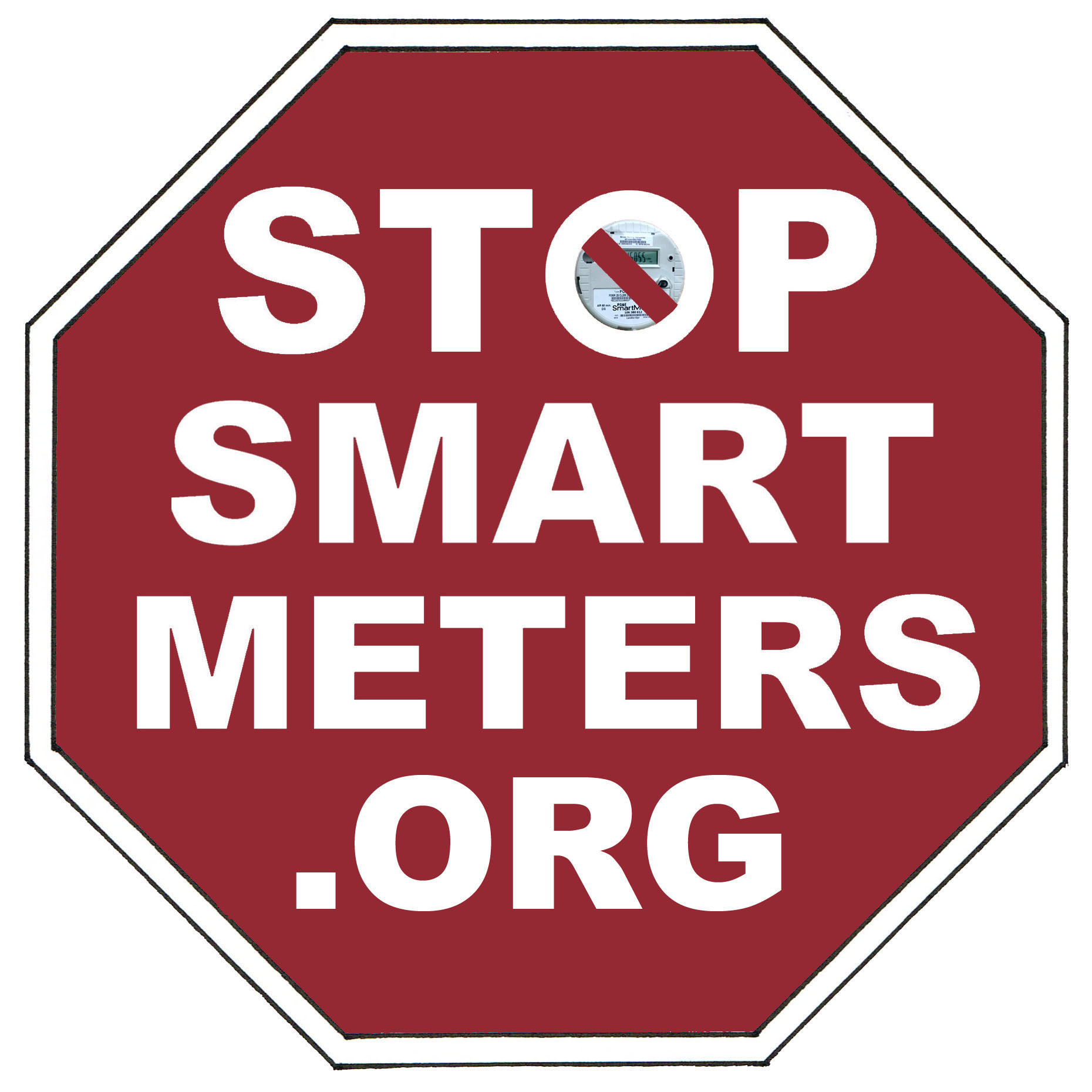 Reis Mam betreden Anti Smart Meter Protesters Disrupt Smart Grid Conference | Stop Smart  Meters!